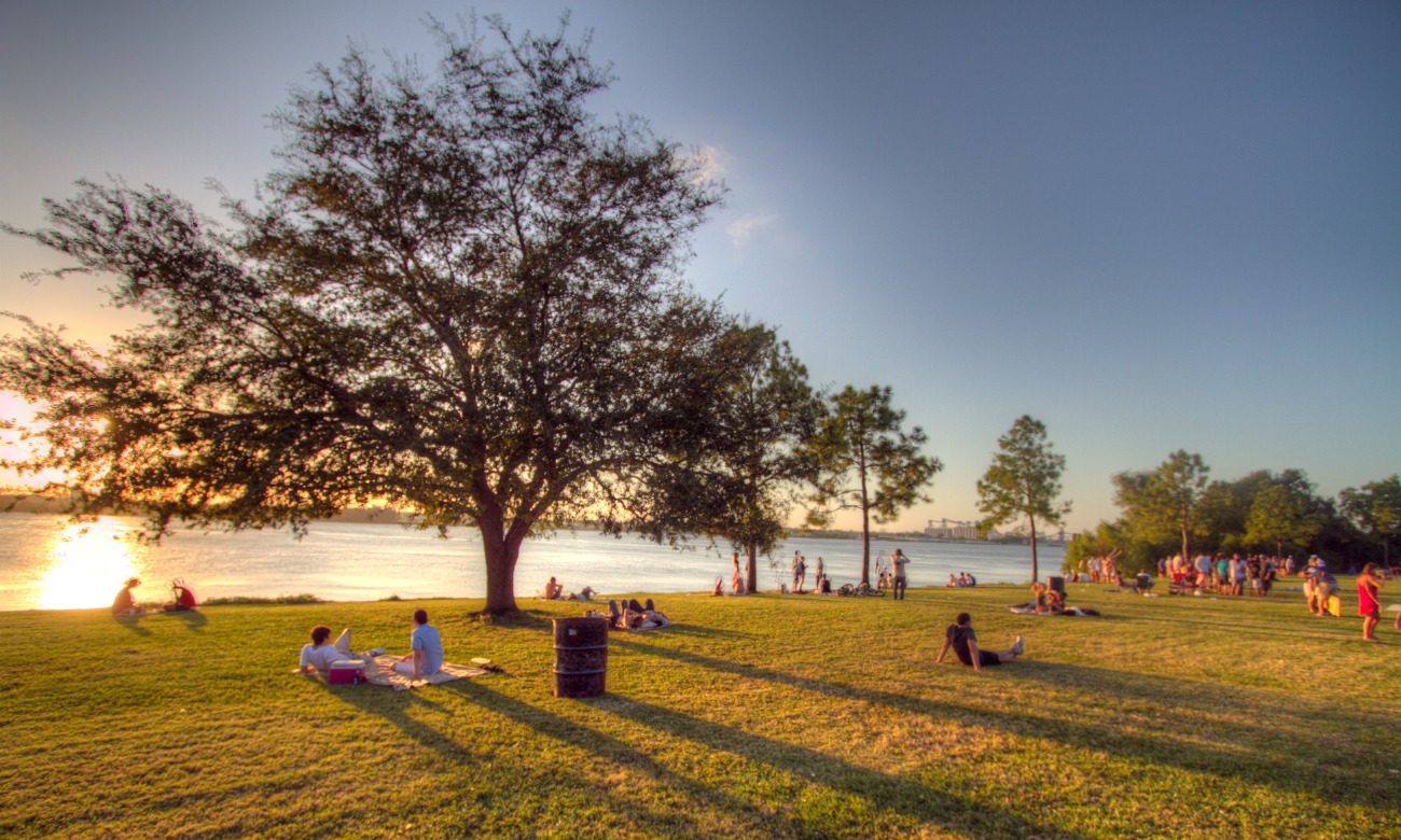 Game at the Fly illustration