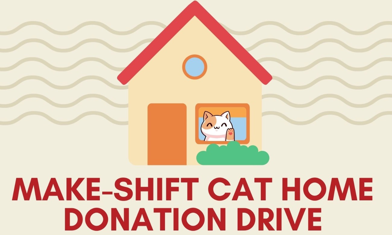 Winter Homes For Cats Donation Drive! illustration