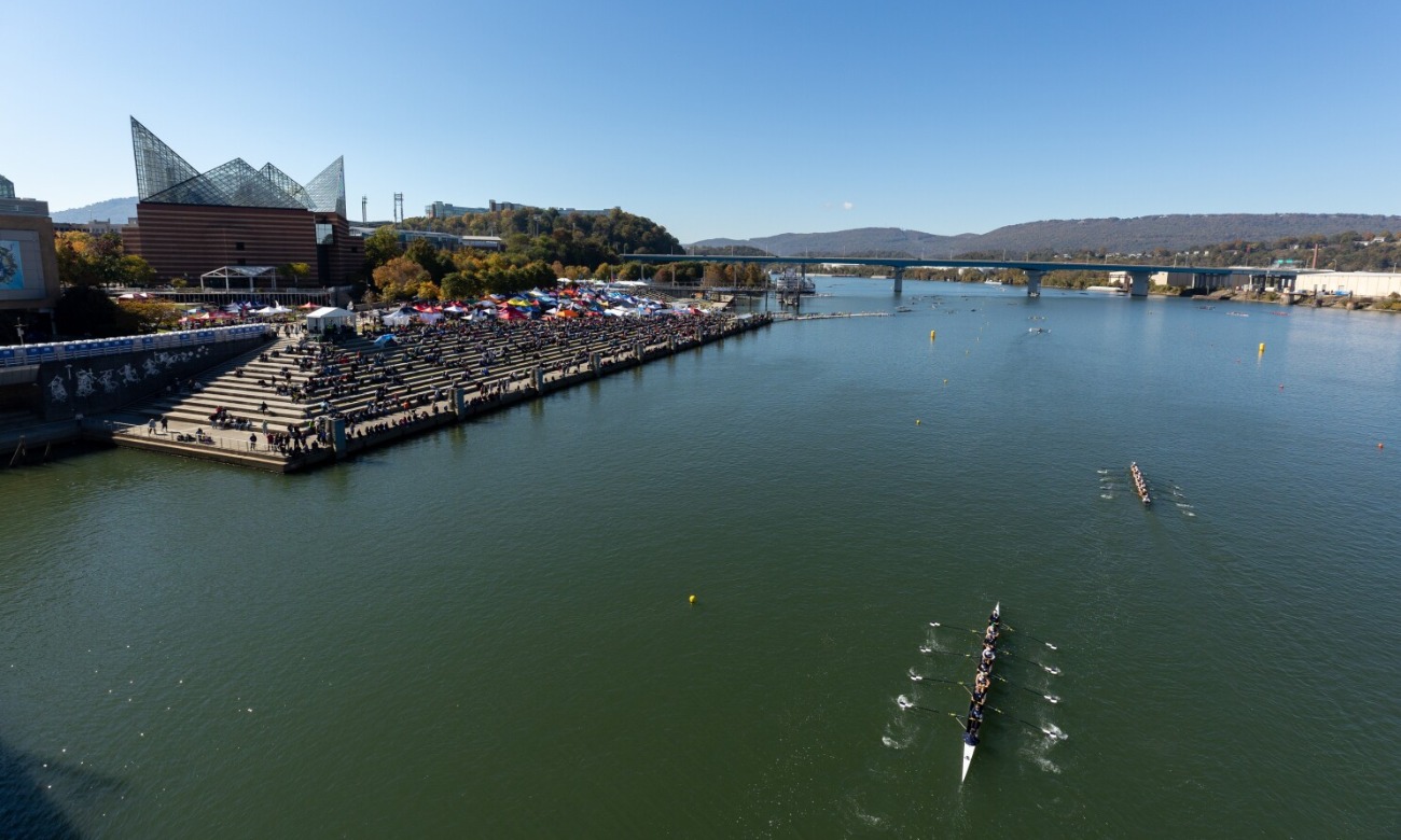 Head of the Hooch Regatta illustration