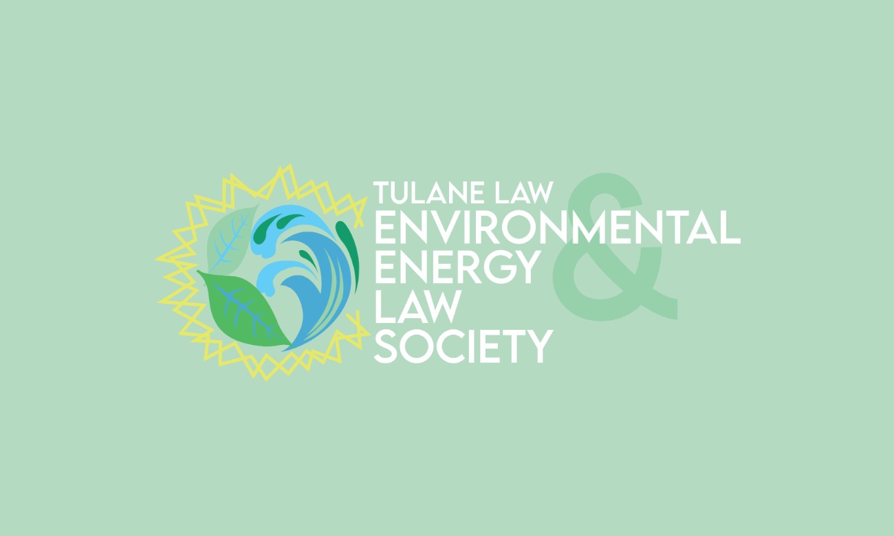 Environmental & Energy Law Society Summit Social  illustration