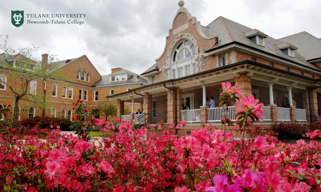 NTC All Staff Meeting - Feb 4, 2026 illustration