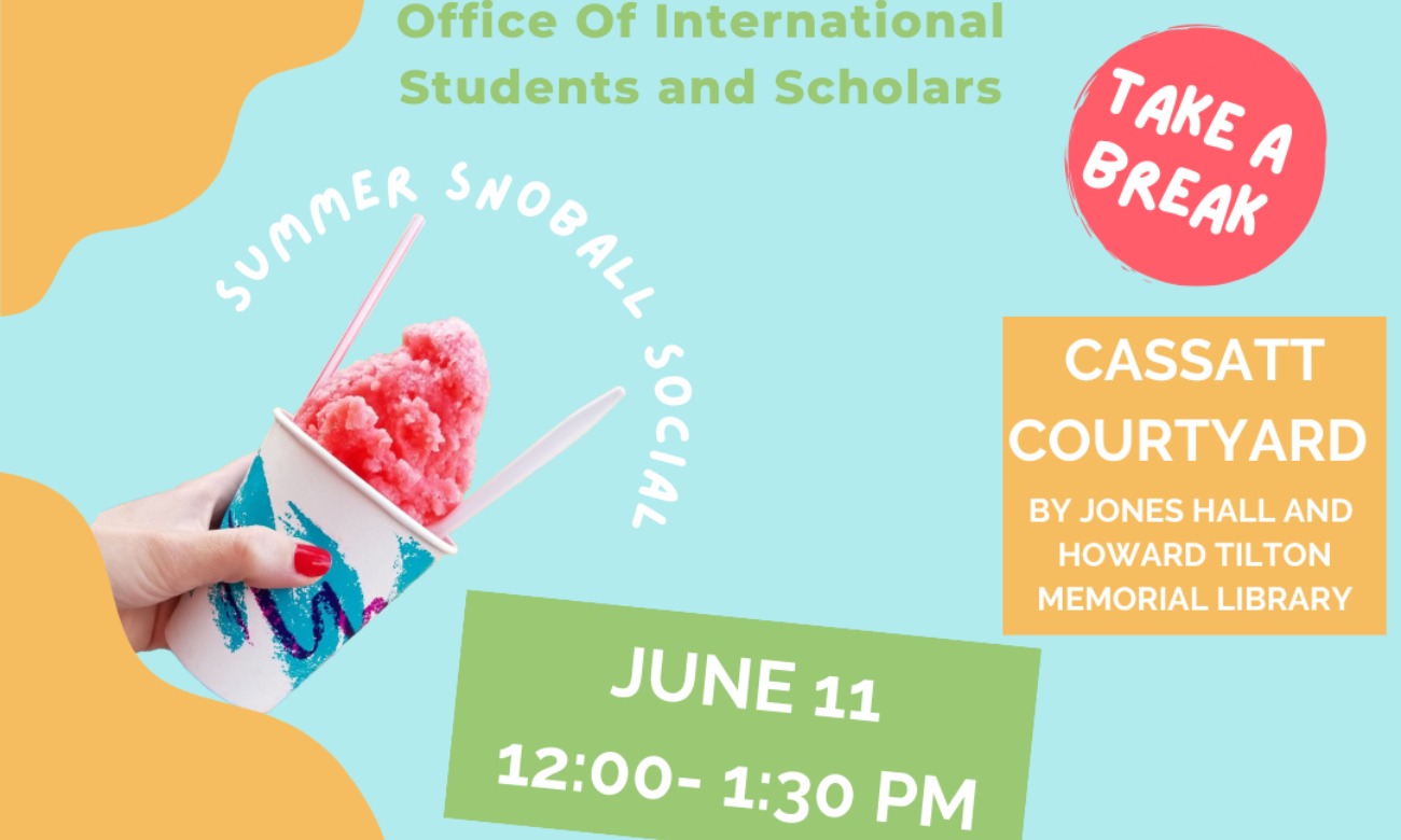 OISS Summer Snoball Social illustration