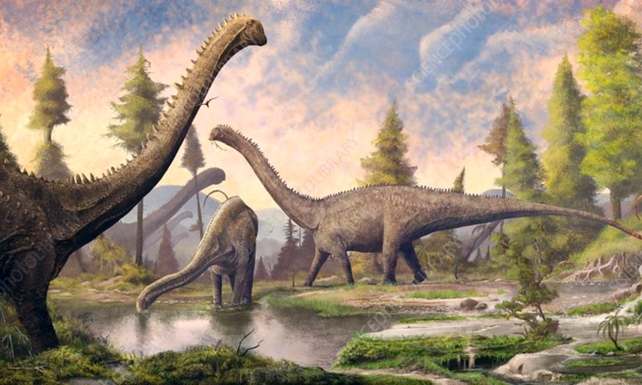 Volunteering at Louisiana Children's Museum illustration