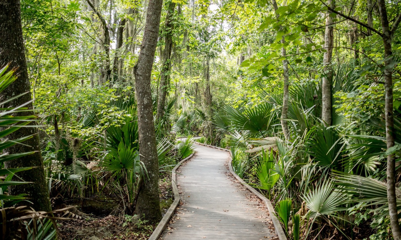 Jean Lafitte Day Hike illustration