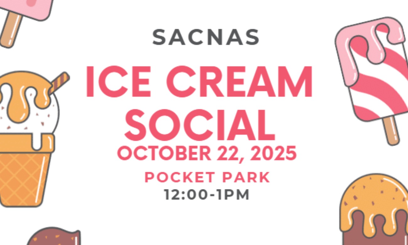 Ice Cream Social illustration