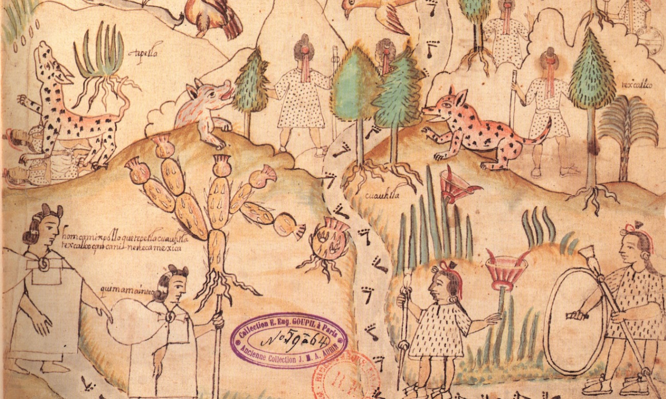 Celebrating a Quarter Century of Latin American Art at Tulane: A Conference in Honor of Elizabeth Boone | 100 Years of Tulane and Latin America illustration