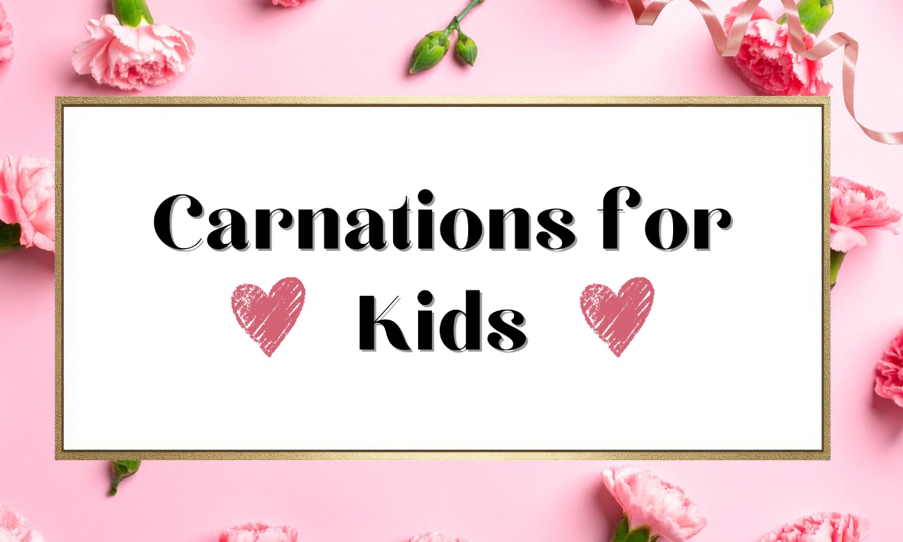 Carnations for Kids illustration
