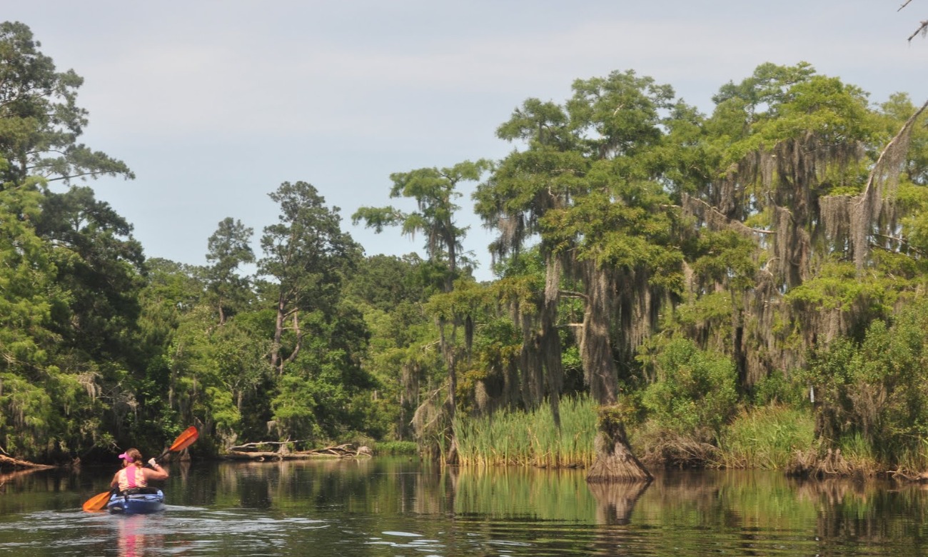 Cane Bayou Paddle illustration