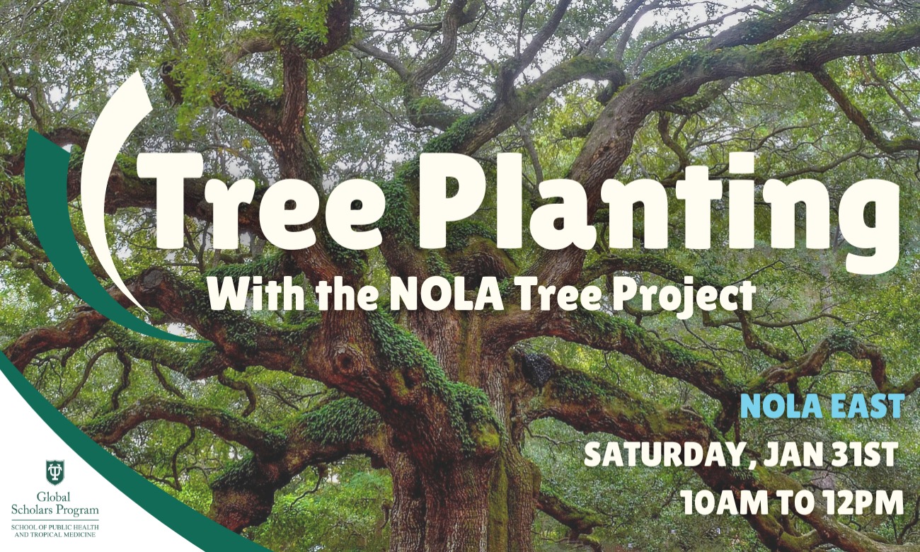 GSP Service Project: Tree Planting With NOLA Tree Project illustration