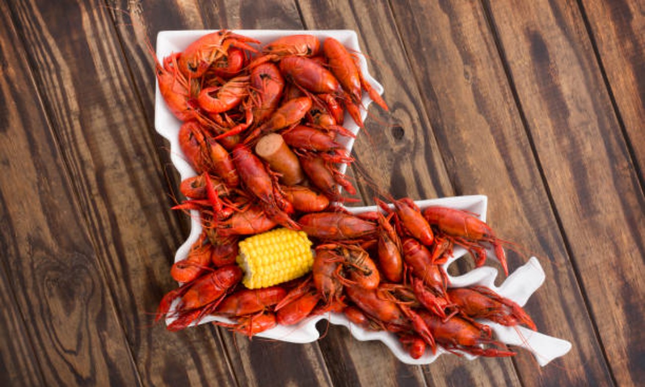 Introductory Meeting: TU Cajun and Louisiana Creole Association illustration