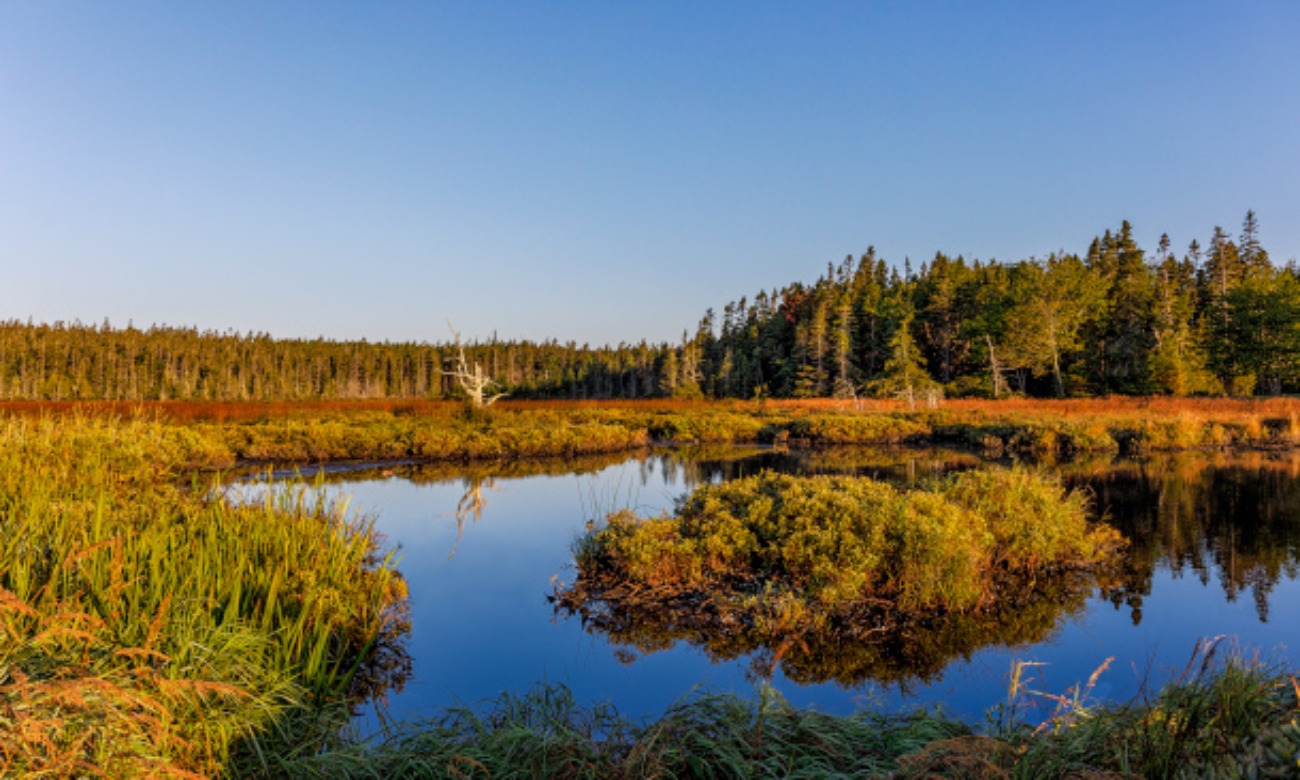 Waters of the United States - A Book Talk with Royal Gardner illustration