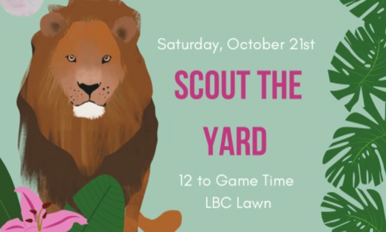 Scout the Yard illustration