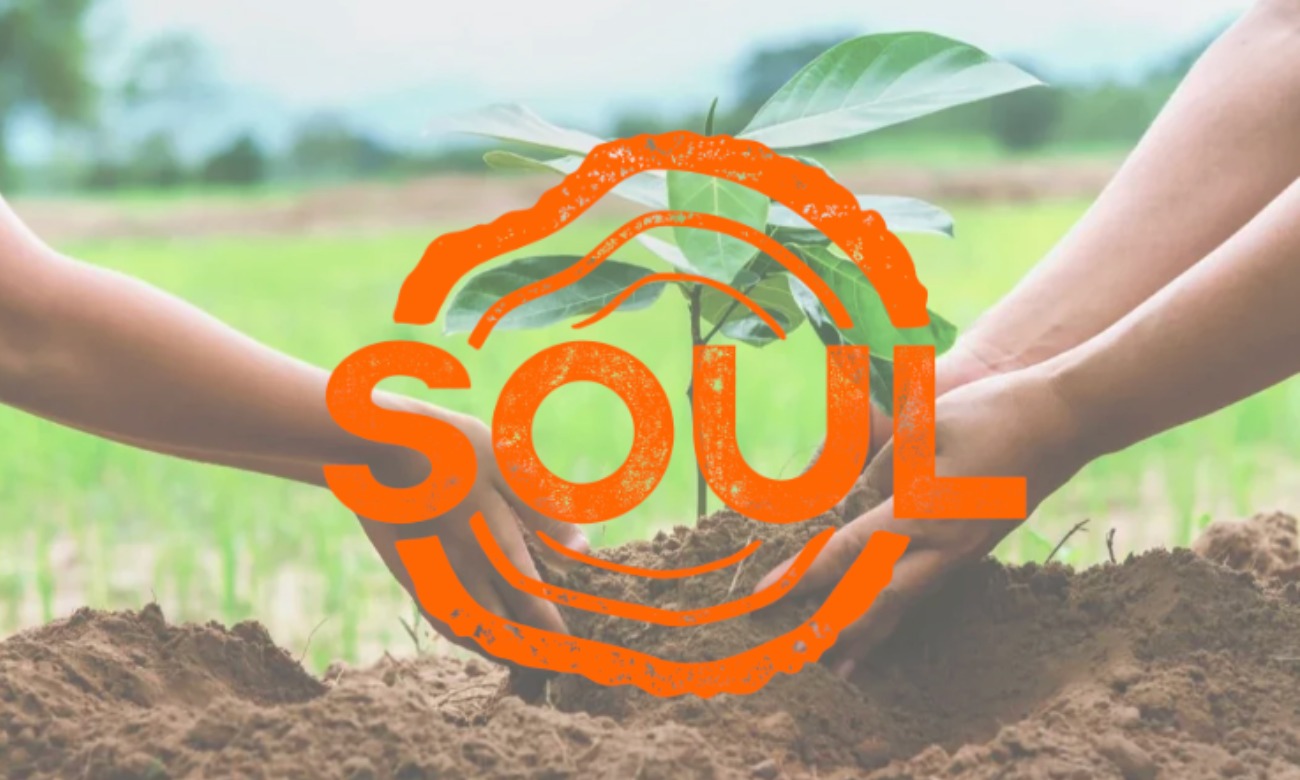 Volunteer with SOUL NOLA illustration