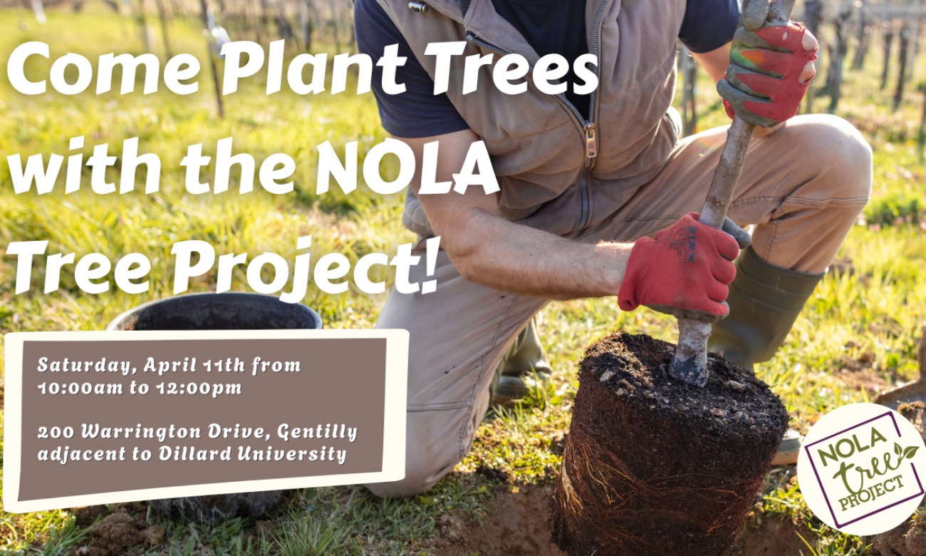 Service Event: NOLA Tree Project illustration