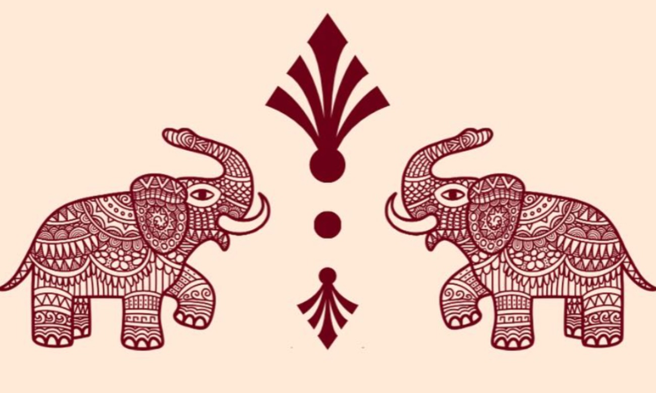 South Asian Association (SAATU) Executive Board Interviews illustration