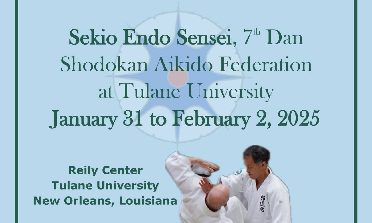 Sekio Endo Sensei New Orleans Aikido Seminar illustration