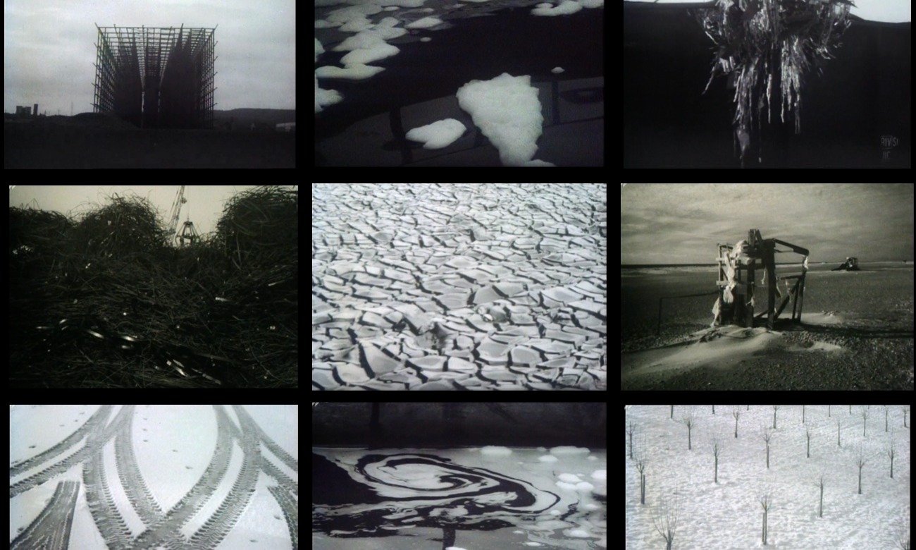 Ecologies of Abstraction: Implicated Aesthetics, Curatorial Politics, and Environmental Cinema in Postwar Germany illustration