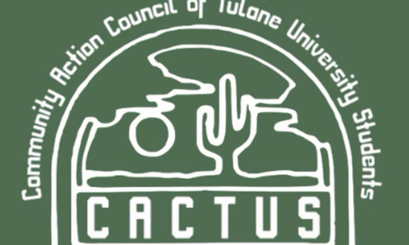 Plant Your Seed with CACTUS illustration