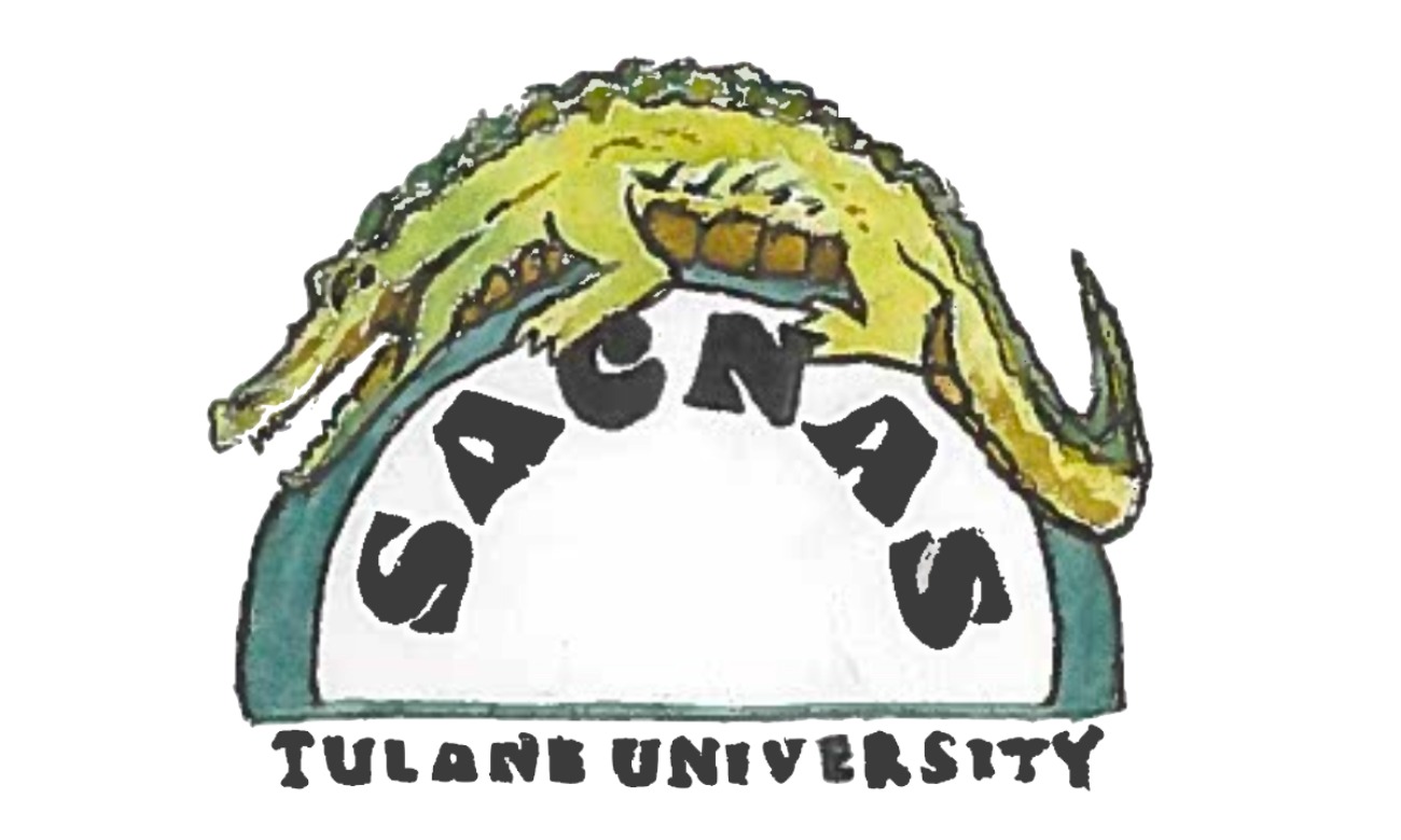 SACNAS Holiday Party illustration