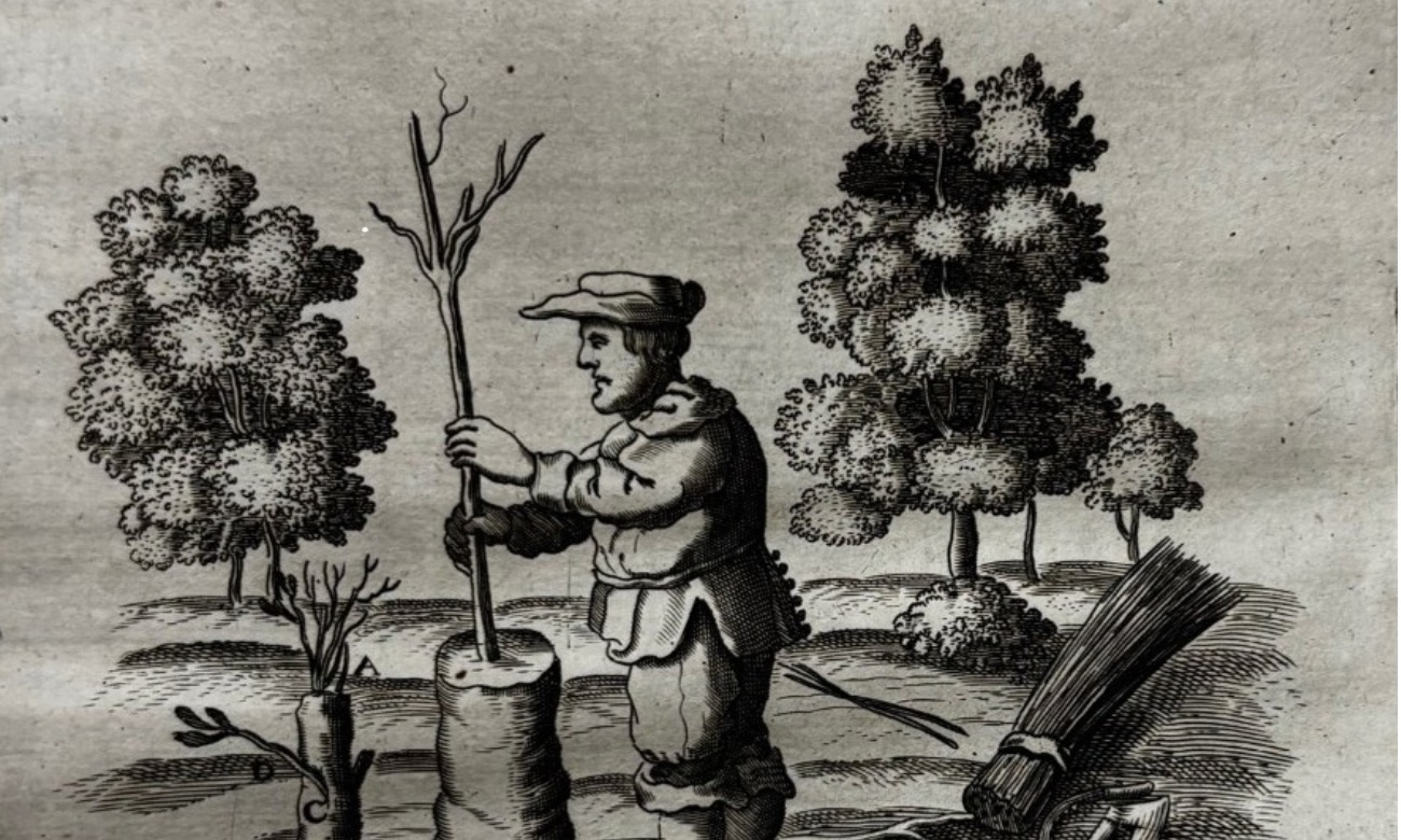 “We Have That?”: STEM to Stems Pop-up Exhibit illustration
