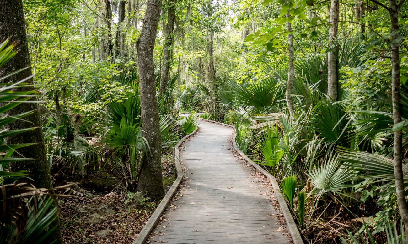 Jean Lafitte Day Hike illustration