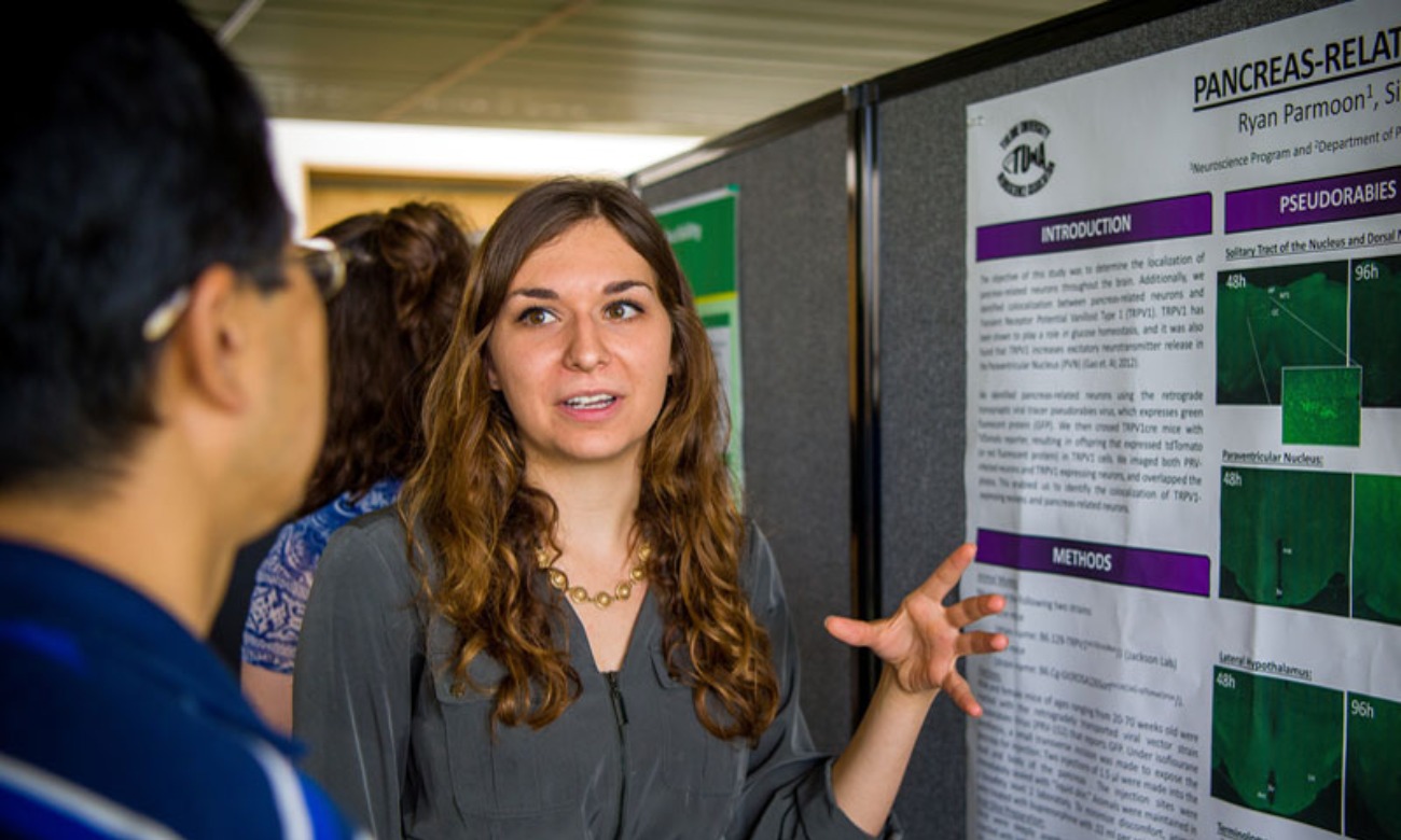 Annual Undergraduate Poster Session  illustration