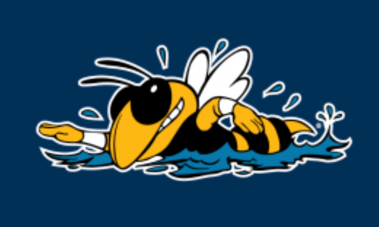 Georgia Tech Away Meet illustration