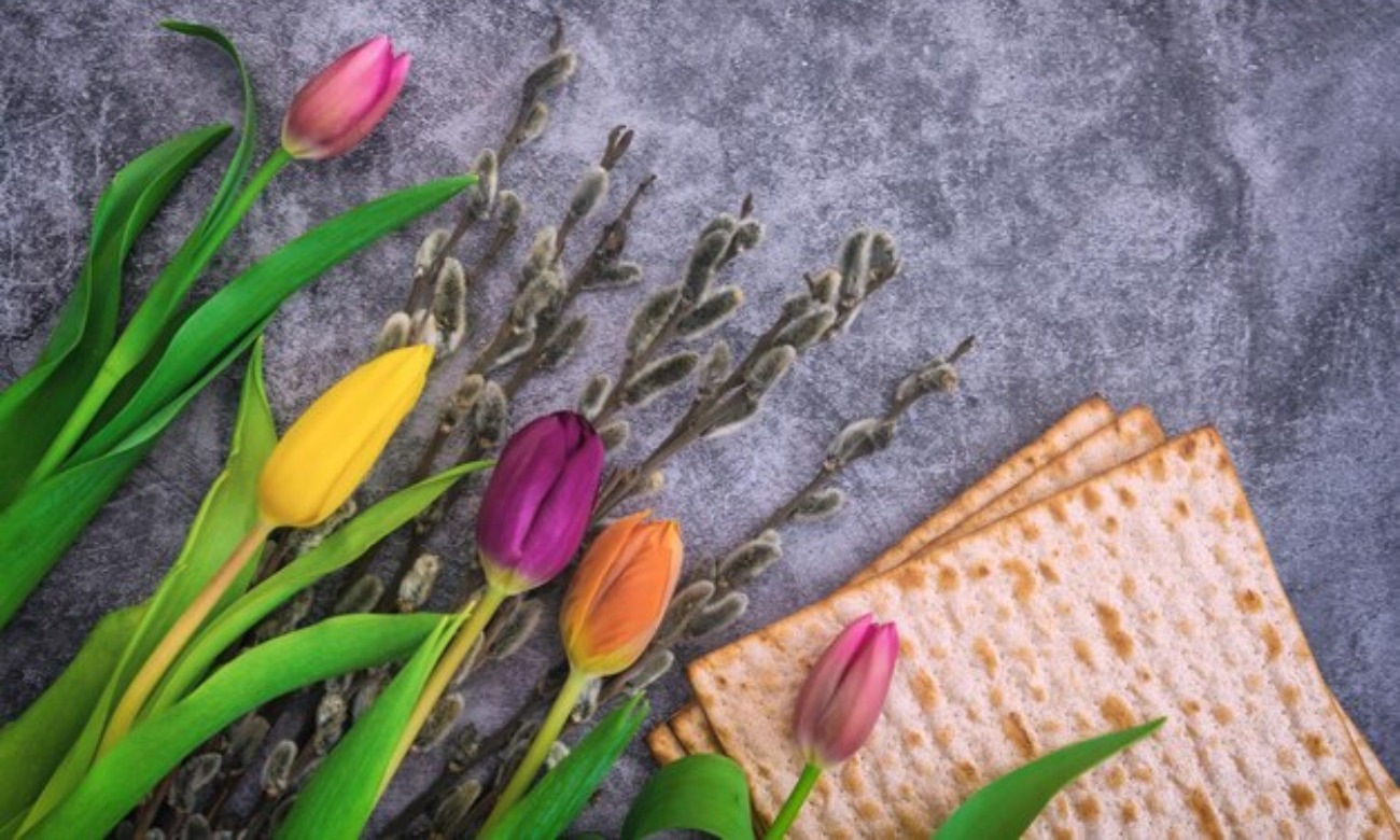 Passover Petals  illustration