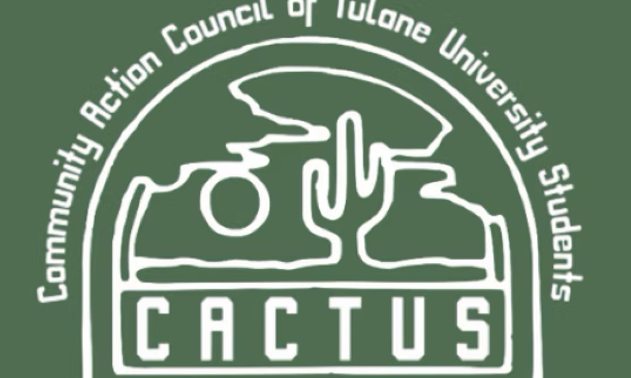 CACTUS Council Meeting illustration