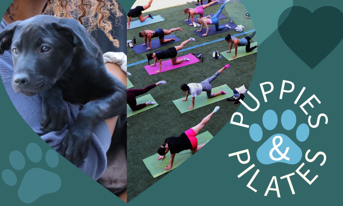 Puppies & Pilates for Student Appreciation illustration