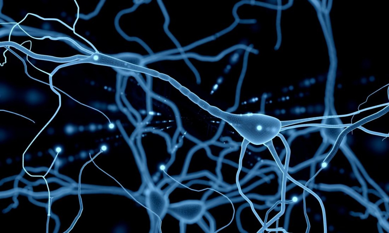 Neuroscience Fall Social Event illustration