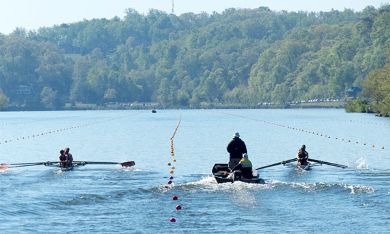 SIRAs Regatta illustration