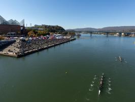 Head of the Hooch Regatta illustration