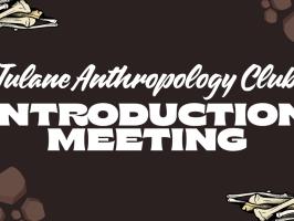Introduction Meeting illustration