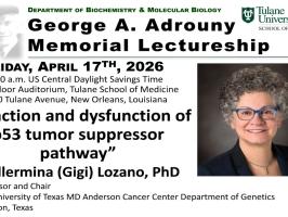 The 24th Annual George A. Adrouny Lecture ~ Guillermina (Gigi) Lozano illustration