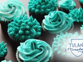 Tulane Tuesday | Teal Cupcake Bar illustration