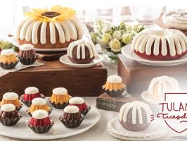 Tulane Tuesday | Nothing Bundt Cakes illustration