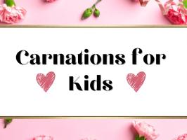 Carnations for Kids illustration
