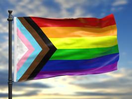 The LGBTQIA+ State of Research illustration