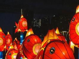 AASU Water Festival illustration