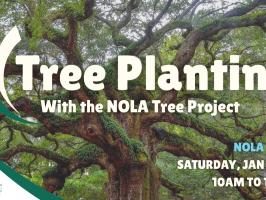 GSP Service Project: Tree Planting With NOLA Tree Project illustration