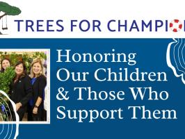 Trees for Champions illustration
