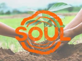 Volunteer with SOUL NOLA illustration
