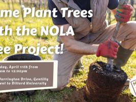 Service Event: NOLA Tree Project illustration
