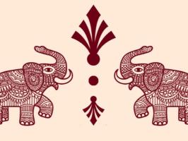 South Asian Association (SAATU) Executive Board Interviews illustration