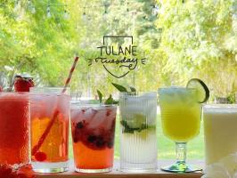 Tulane Tuesday | Mocktails illustration