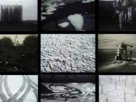 Ecologies of Abstraction: Implicated Aesthetics, Curatorial Politics, and Environmental Cinema in Postwar Germany illustration