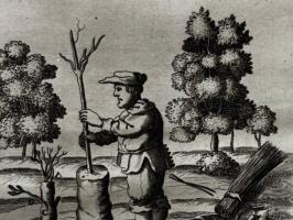 “We Have That?”: STEM to Stems Pop-up Exhibit illustration