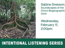 Intentional Listening with Sabine Greeson: Soundscapes of the Chocó Biogeographic Zone illustration