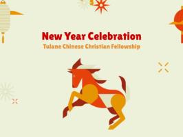 Chinese New Year Celebration illustration